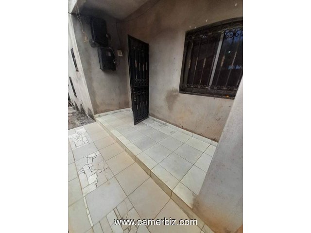 Bel Appartement neuf à louer à Nkolfoulou avec forage parking - 34493