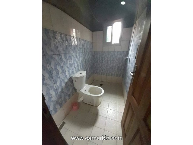 Bel Appartement neuf à louer à Nkolfoulou avec forage parking - 34493