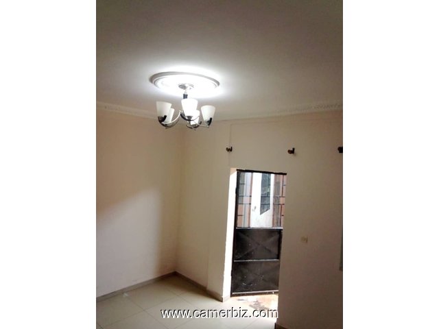 Appartement à Mvog Ada - 34515