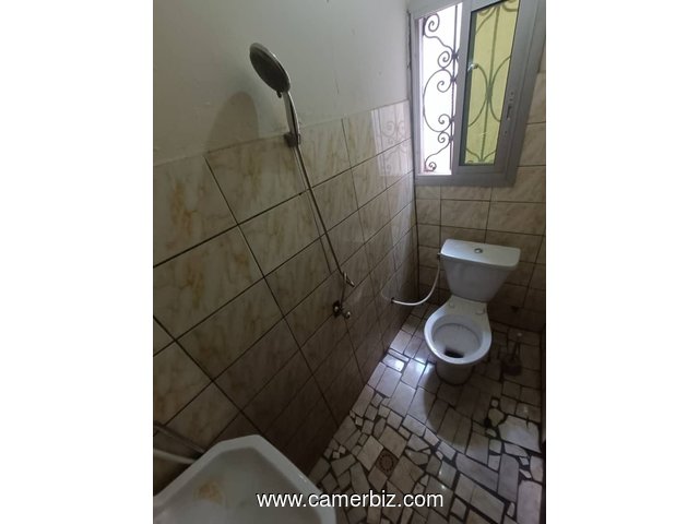 Appartement individuel à louer à Essos - 34522