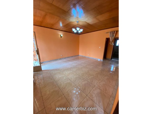 Appartement à louer à Odza fecafoot avec parking - 34545