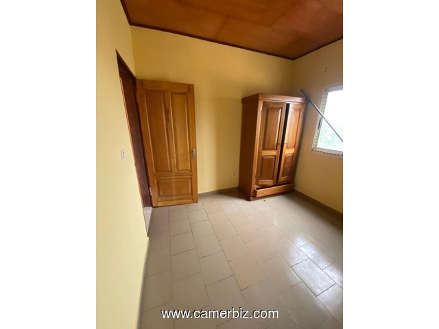 Appartement à louer à Odza fecafoot avec parking - 34545
