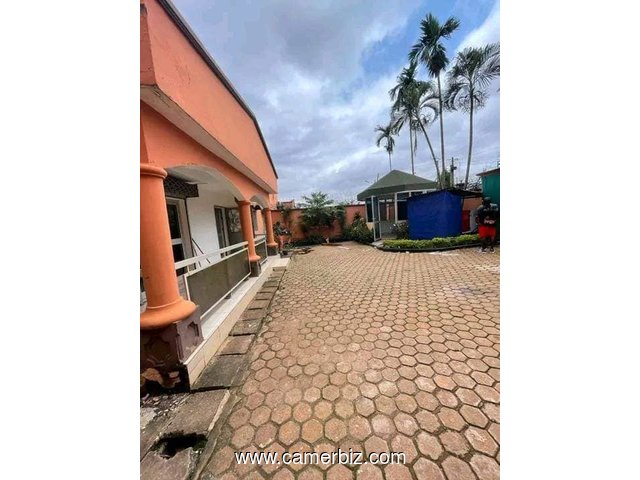 Vaste villa pour habitation ou bureaux à louer à Dragage bordure de la route principale - 34552