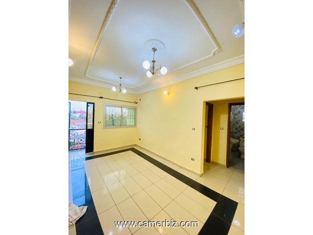 Bel Appartement neuf à louer à Nkozoa avec gardien forage parking - 34606