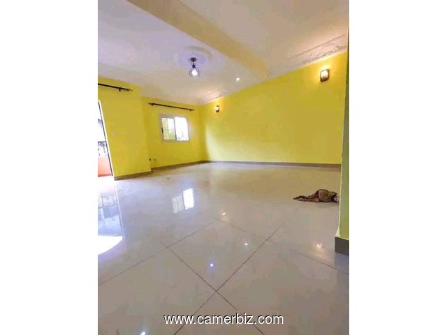 Appartement propre avec parking forage à Meyo. 2 chambres 2 douches. Accès goudronné.  - 34748