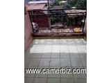 Appartement pour bureaux en bordure de route à Omnisports.2 chambres 2 douches  - 34859
