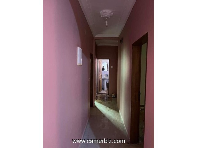Vaste Appartement neuf avec gardien, forage parking à Odza Meyo. Moto 200f. 3 chambres 2 douches - 35078