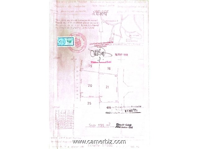 TERRAIN  TITRE d'une superficie de 1000m2 à VENDRE à Essomba  - 35083