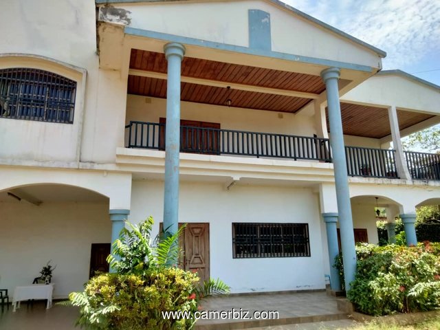 YAOUNDE ELEVEUR DUPLEX  #À_VENDRE , bordure de goudron  - 35084