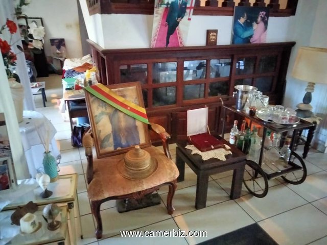 YAOUNDE ELEVEUR DUPLEX  #À_VENDRE , bordure de goudron  - 35084