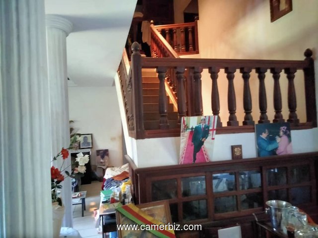 YAOUNDE ELEVEUR DUPLEX  #À_VENDRE , bordure de goudron  - 35084