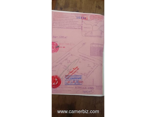 NKOABANG TERRAIN TITRE bien situé d'une superficie de 500m2 à VENDRE  - 35088