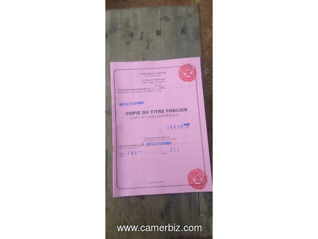 NKOABANG TERRAIN TITRE bien situé d'une superficie de 500m2 à VENDRE  - 35088