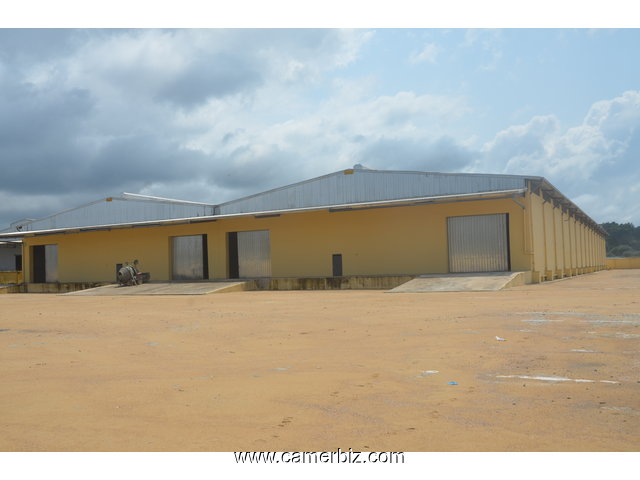 LOCATION ENTREPOT DANS LA ZONE PORTUAIRE DE KRIBI - 35384