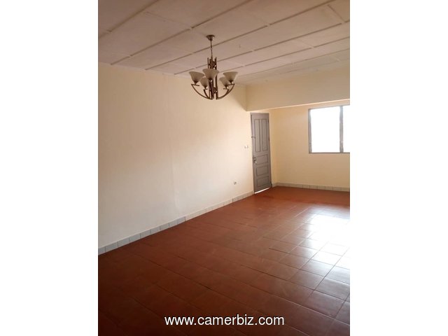 appartement 02 chambres a louer biyem-assi - 3546