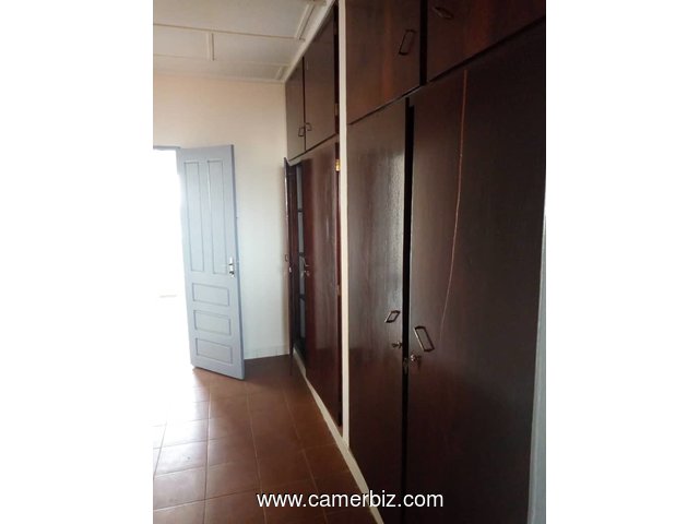 appartement 02 chambres a louer biyem-assi - 3546