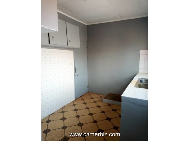 appartement 02 chambres a louer biyem-assi - 3546