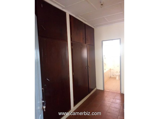 appartement 02 chambres a louer biyem-assi - 3546