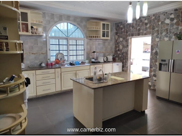 Duplex à vendre dans le quartier de Kotto à Douala. Il comprend une dépendance sur une superficie de - 35594