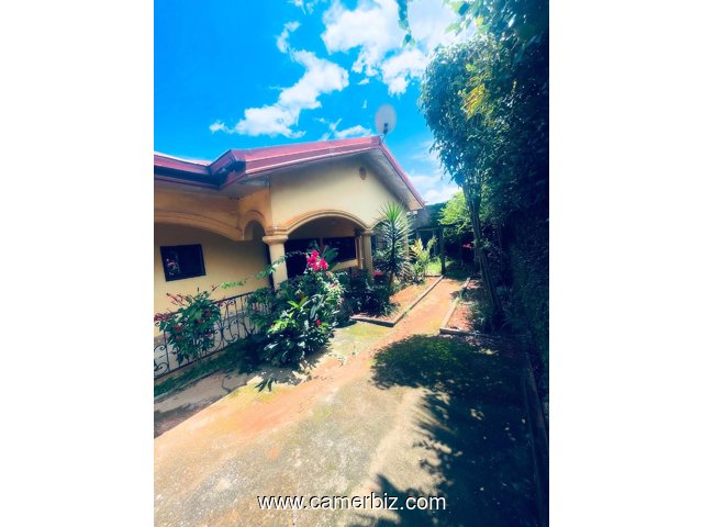 Villa 4 chambres à vendre à Awae - 35617
