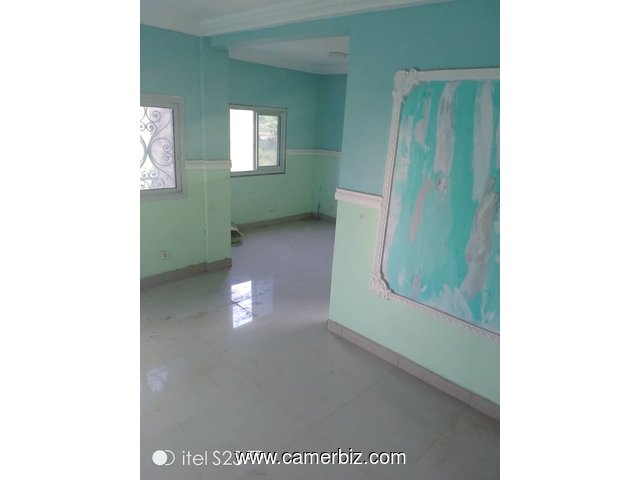 Jolie appartement à louer à yassa 80000/mois - 35623