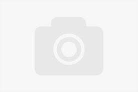 Double-leaf refrigerator - OSCAR - 250 L