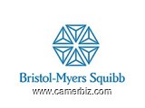 Bristol-Myers Squibb Pharmaceutical Company Recruitment  - 3615