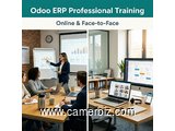 FORMATION PROFESSIONNELLE ODOO ERP – EN LIGNE ET EN PRÉSENTIEL