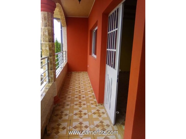 appartements et studios à louer à yaoundé - 3687