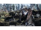 CD Jeux    The Witcher 3 : Wild Hunt - 3780