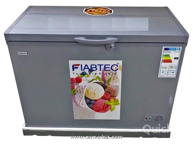 FIABTEC - FTCFM-365 – Congélateur Coffre – 258 L - Gris - 3926