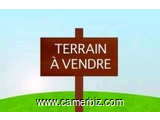 TERRAINS A VENDRE A YAOUNDÉ GOLF - 3942