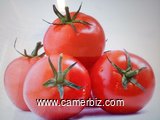 Vente de tomates en cageots, à très bon prix - 3992