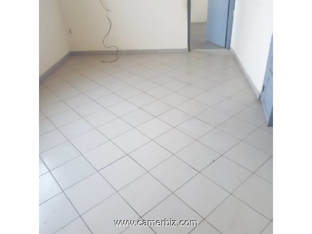 Appartement à louer 80 000 FCFA Grand Moulin Douala  - 4138