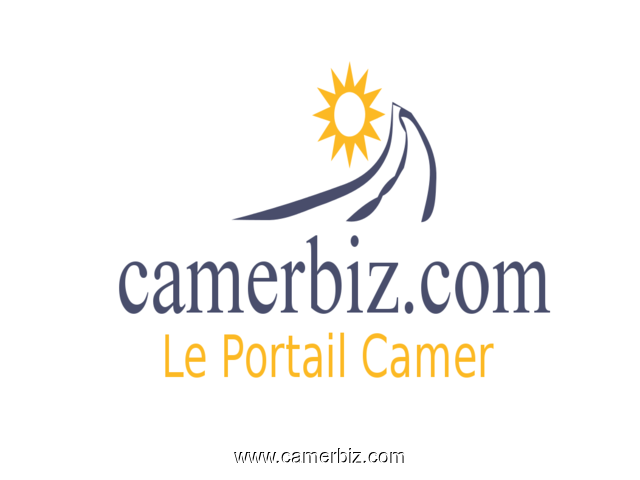 Recrutement d’une Commerciale responsable du service client - 4174