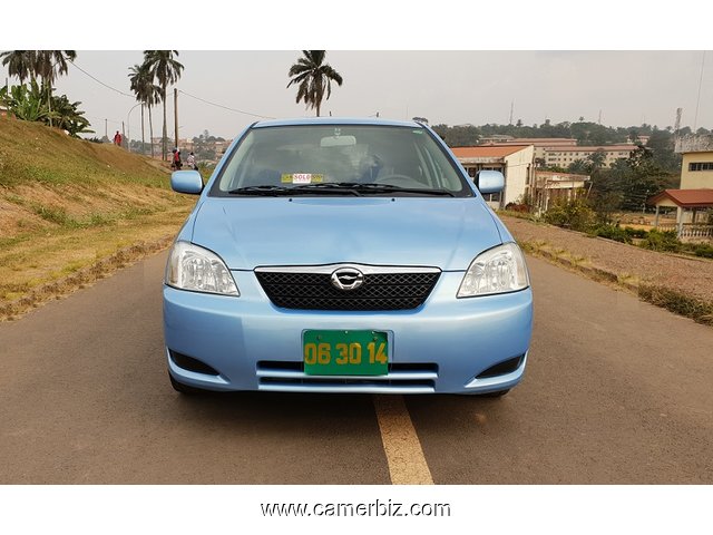 Super Belle 2005 Toyota Corolla Runx (Allex) Full Option - 4203