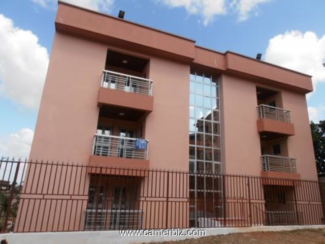 Appartements de 02 chambres à louer à Omnisports, Yaoundé 200.000 f cfa le mois - 4216