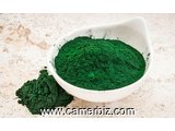 Spiruline bio en gélules végétale - 4220