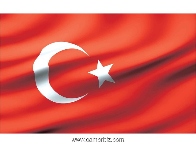Visa Turquie en 10 jours (200%) - 4308