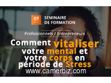 Séminaire: Comment vitaliser son mental et son physique en période de stress - 4323