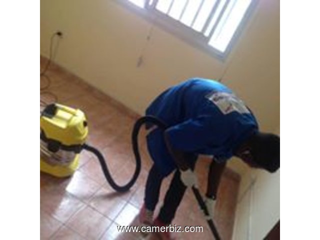 Cleaning services to Cameroun - 4376