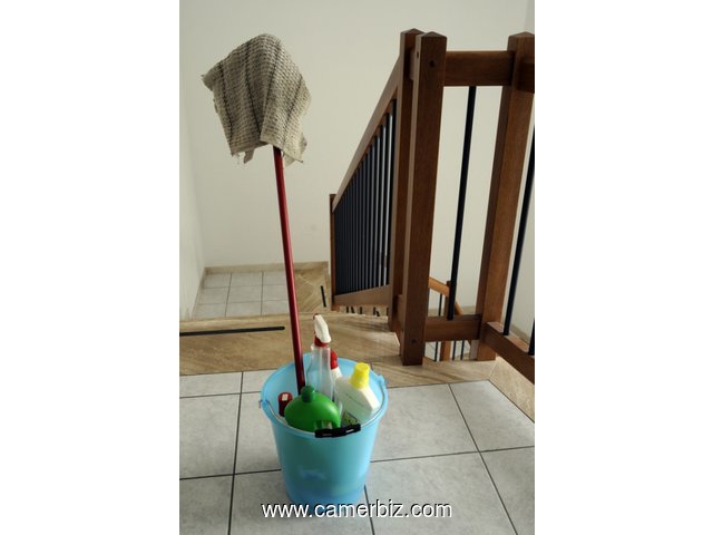 Cleaning services to Cameroun - 4376