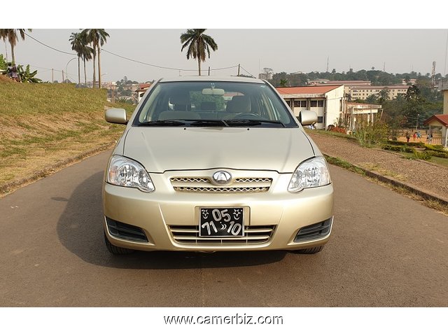 Super Belle 2008 Toyota Corolla Runx (Allex) Full Option avec 4WD - 4509