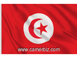 Visa Tunisie 100% - 4513