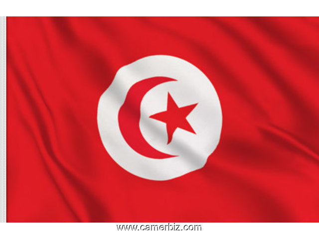 Visa Tunisie 100% - 4513