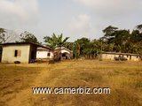 Terrain titré à vendre à NKOl-NKOUMOU PK2 à 12 000 FCFA le m². - 4602