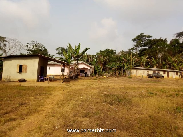 Terrain titré à vendre à NKOl-NKOUMOU PK2 à 12 000 FCFA le m². - 4602