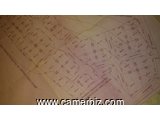 Terrain titré et loti à vendre à NGOUM à 6000 FCFA le m². - 4603