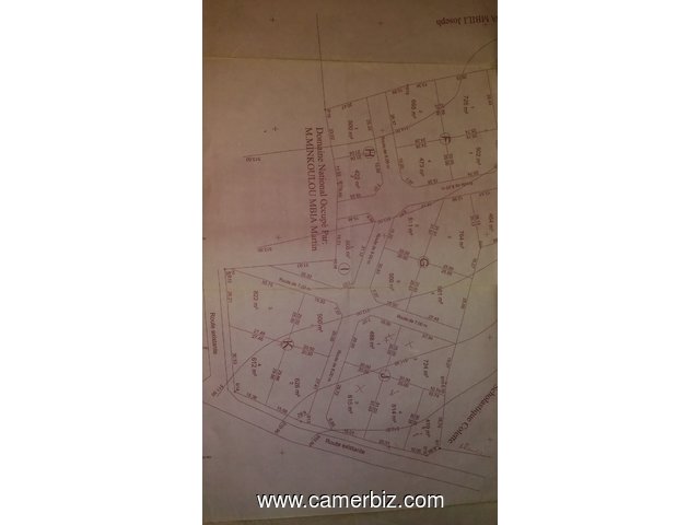 Terrain titré et loti à vendre à NGOUM à 6000 FCFA le m². - 4603