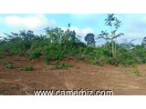 Terrain titré et loti à vendre à NGOUM à 6000 FCFA le m². - 4603